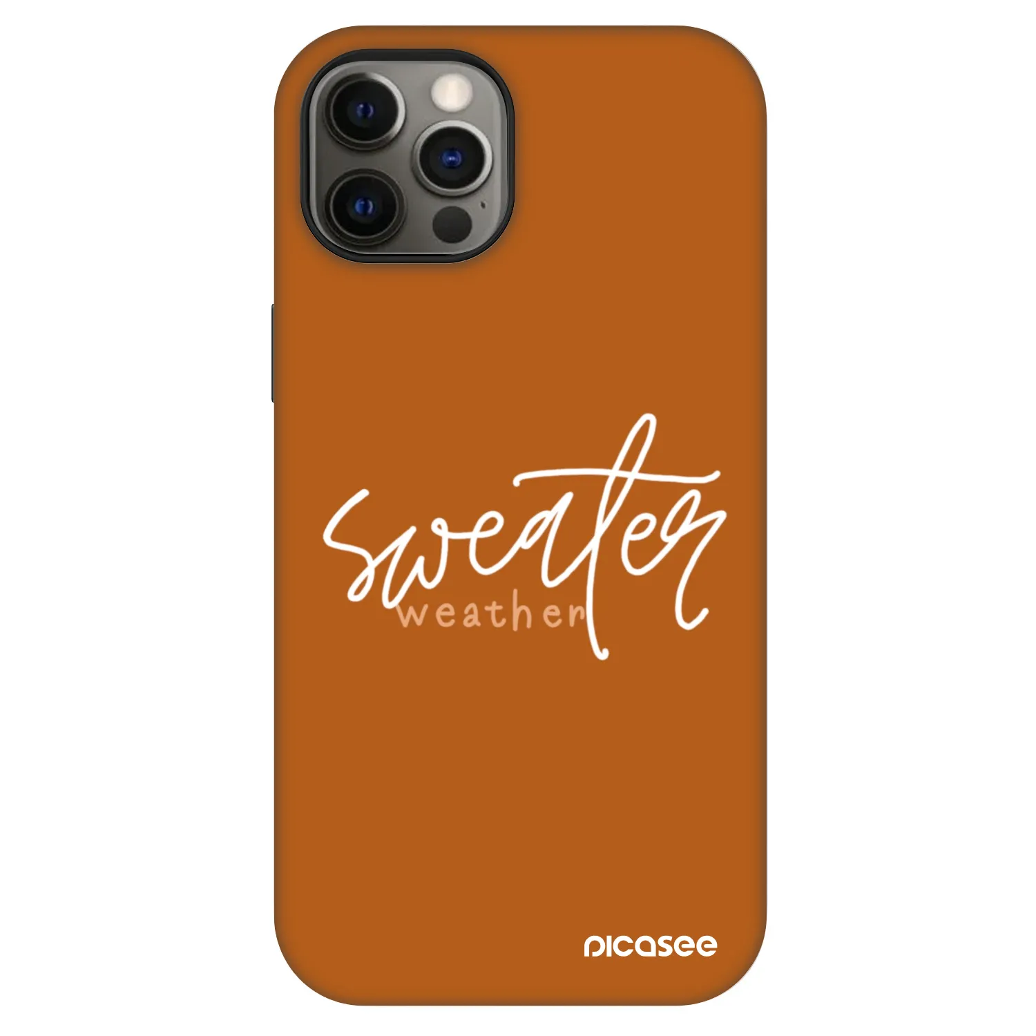 Picasee Fashion Case MagSafe pentru Apple iPhone 12 Pro - Sweater weather