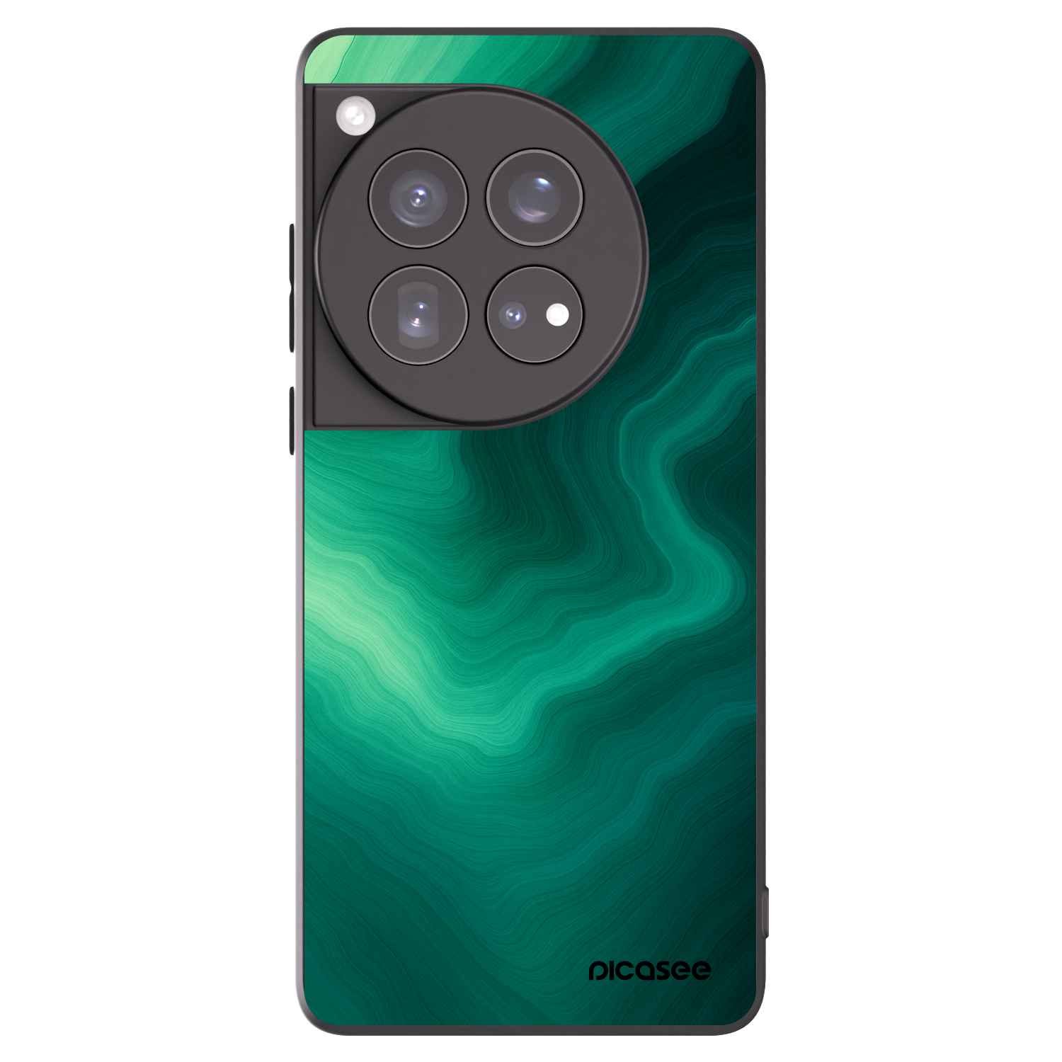 Picasee husă neagră din silicon pentru OnePlus 12 5G - Malachite