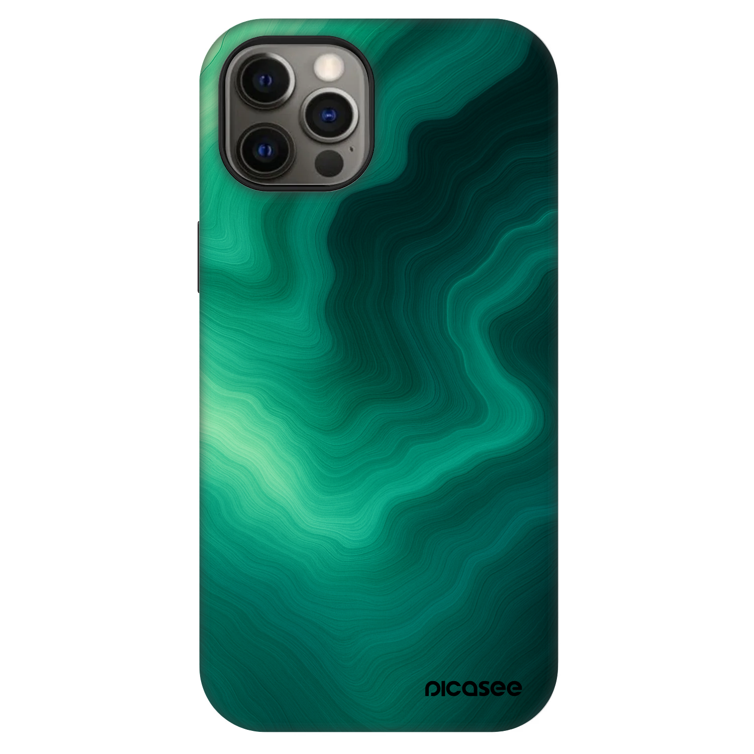 Picasee Fashion Case MagSafe pentru Apple iPhone 12 - Malachite