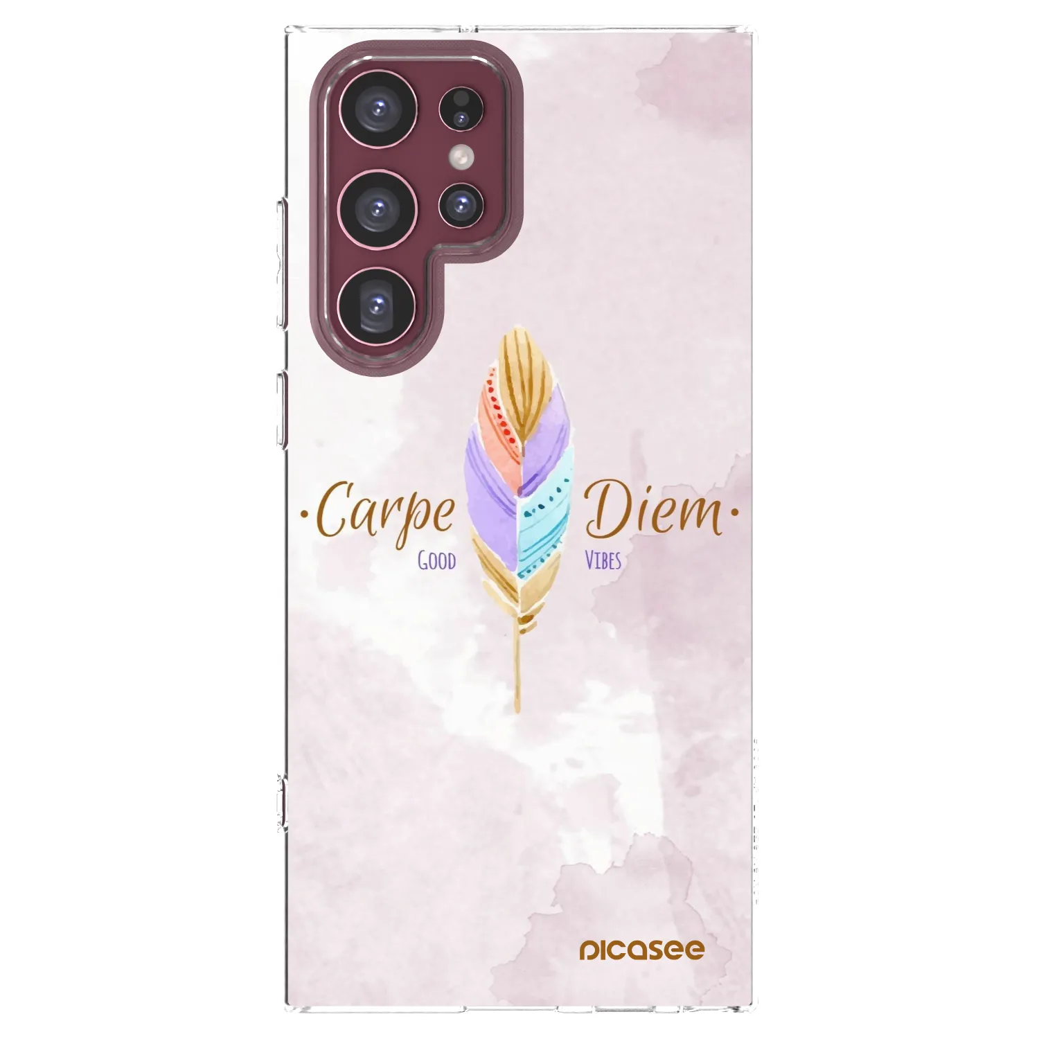 Picasee husă transparentă din silicon pentru Samsung Galaxy S22 Ultra 5G - Carpe Diem