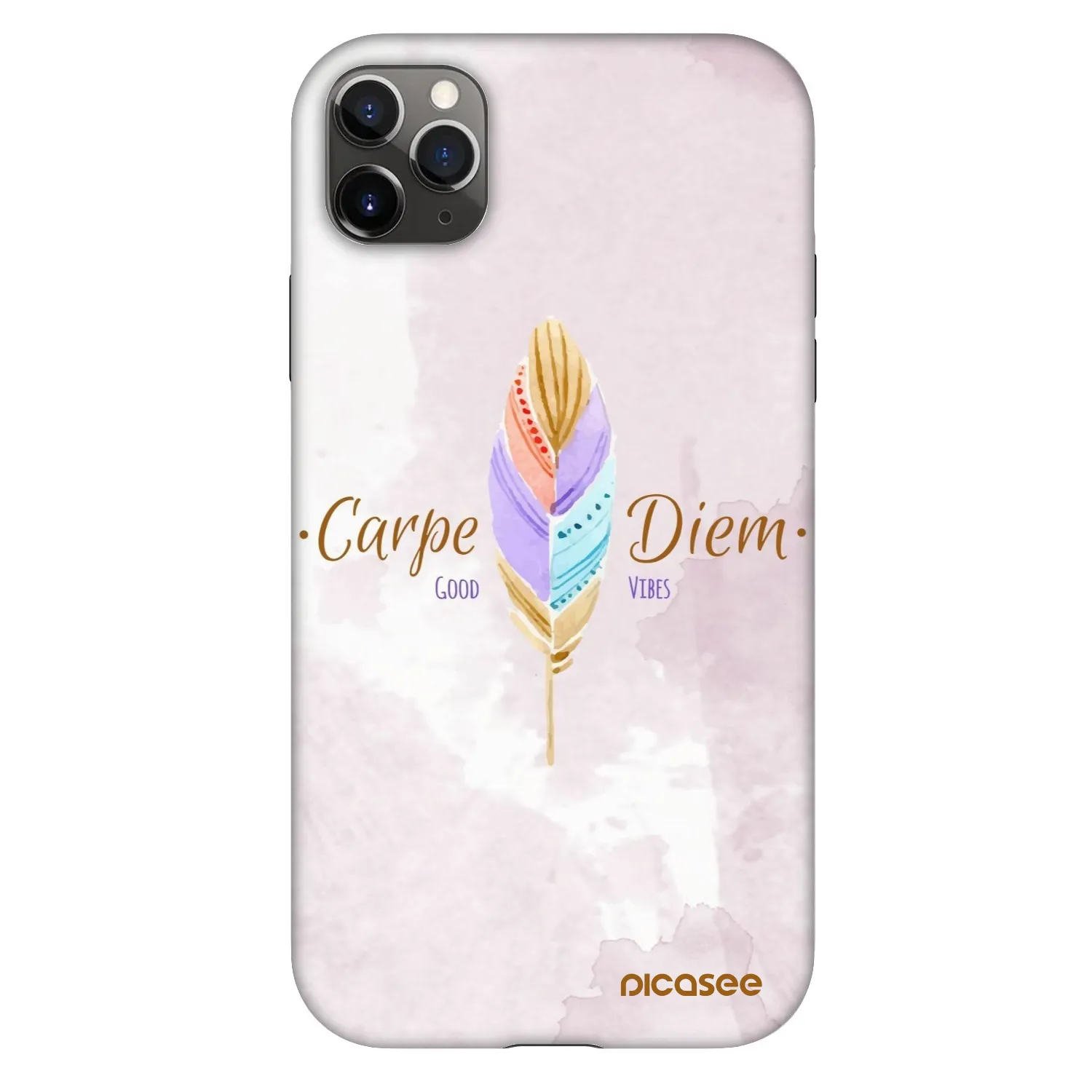 Picasee Fashion Case pentru Apple iPhone 11 Pro Max - Carpe Diem