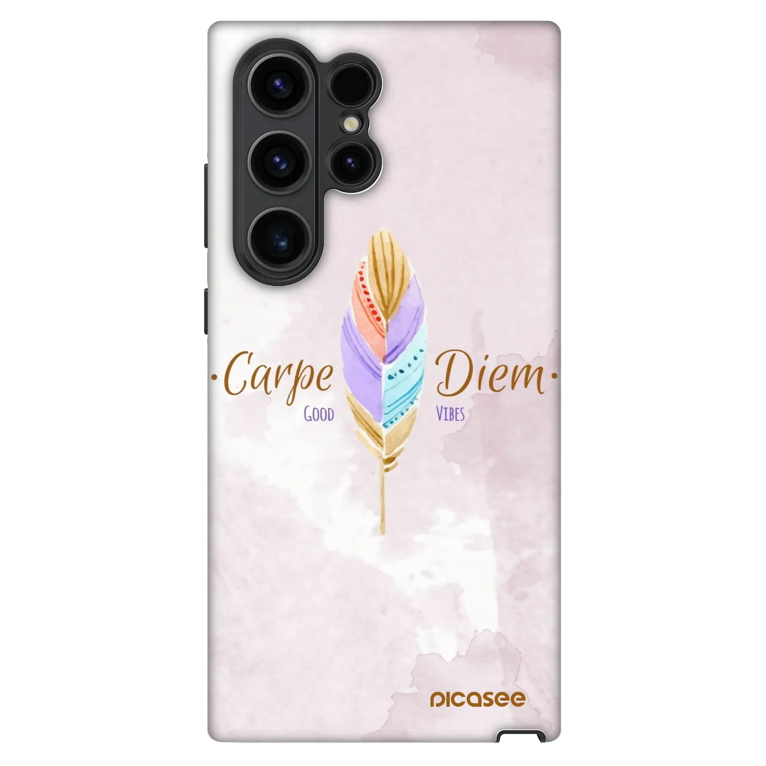 Picasee Fashion Case pentru Samsung Galaxy S22 Ultra 5G - Carpe Diem