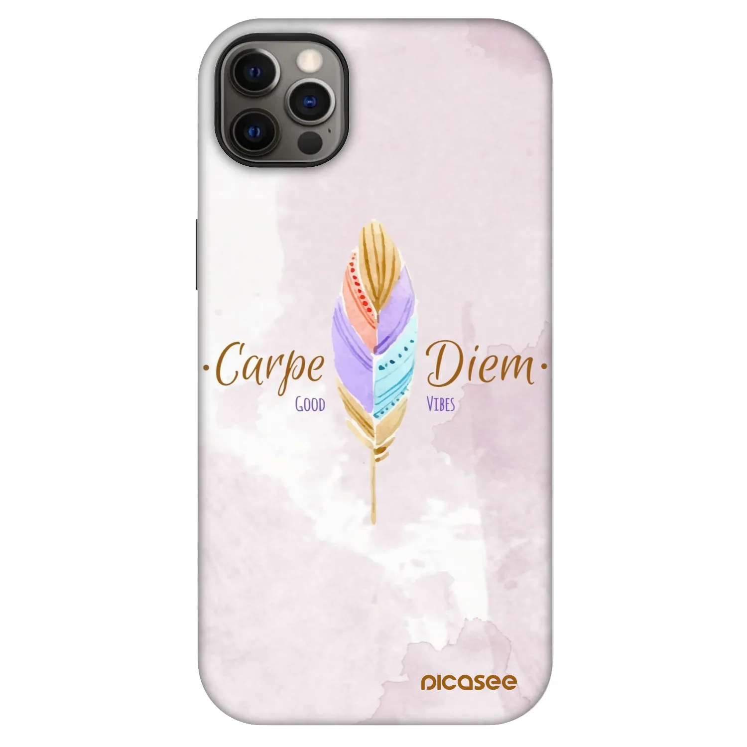 Picasee Fashion Case MagSafe pentru Apple iPhone 12 Pro Max - Carpe Diem