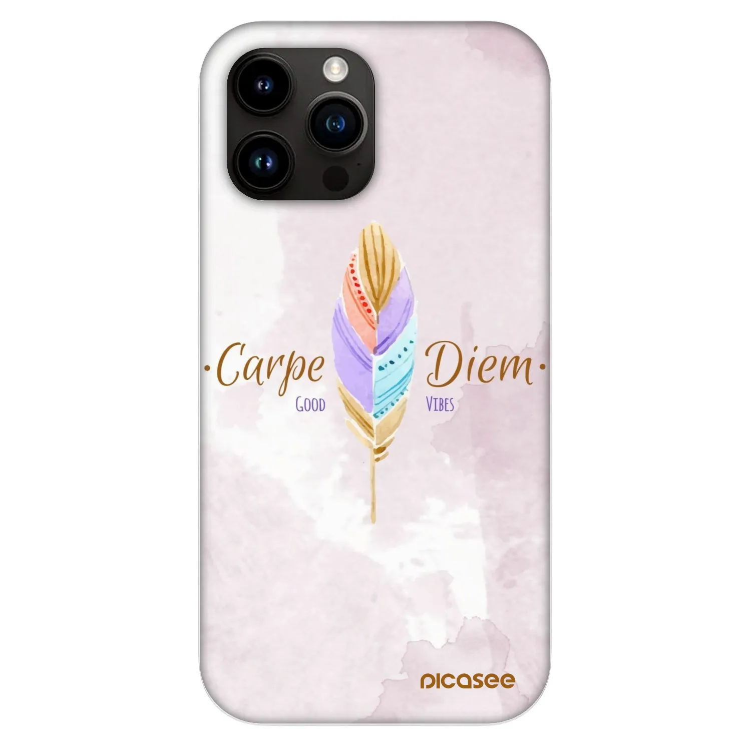 Picasee Fashion Case MagSafe pentru Apple iPhone 13 Pro Max - Carpe Diem