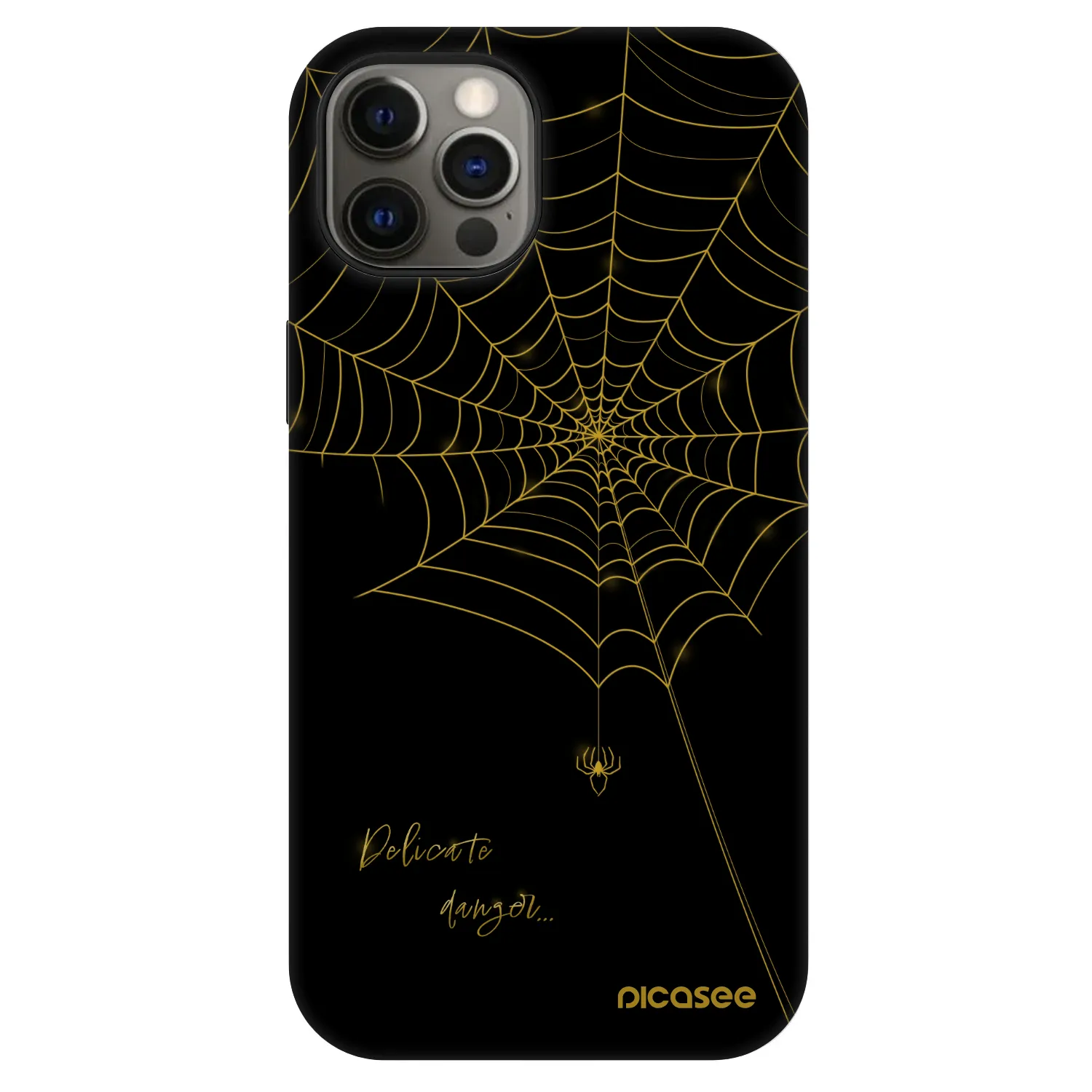 Picasee Fashion Case MagSafe pentru Apple iPhone 12 Pro - Delicate danger