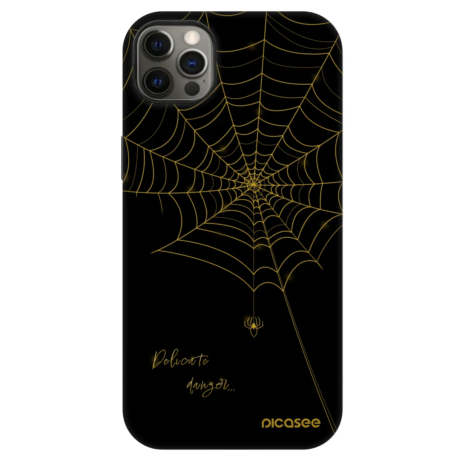 Picasee Fashion Case MagSafe pentru Apple iPhone 12 Pro Max - Delicate danger