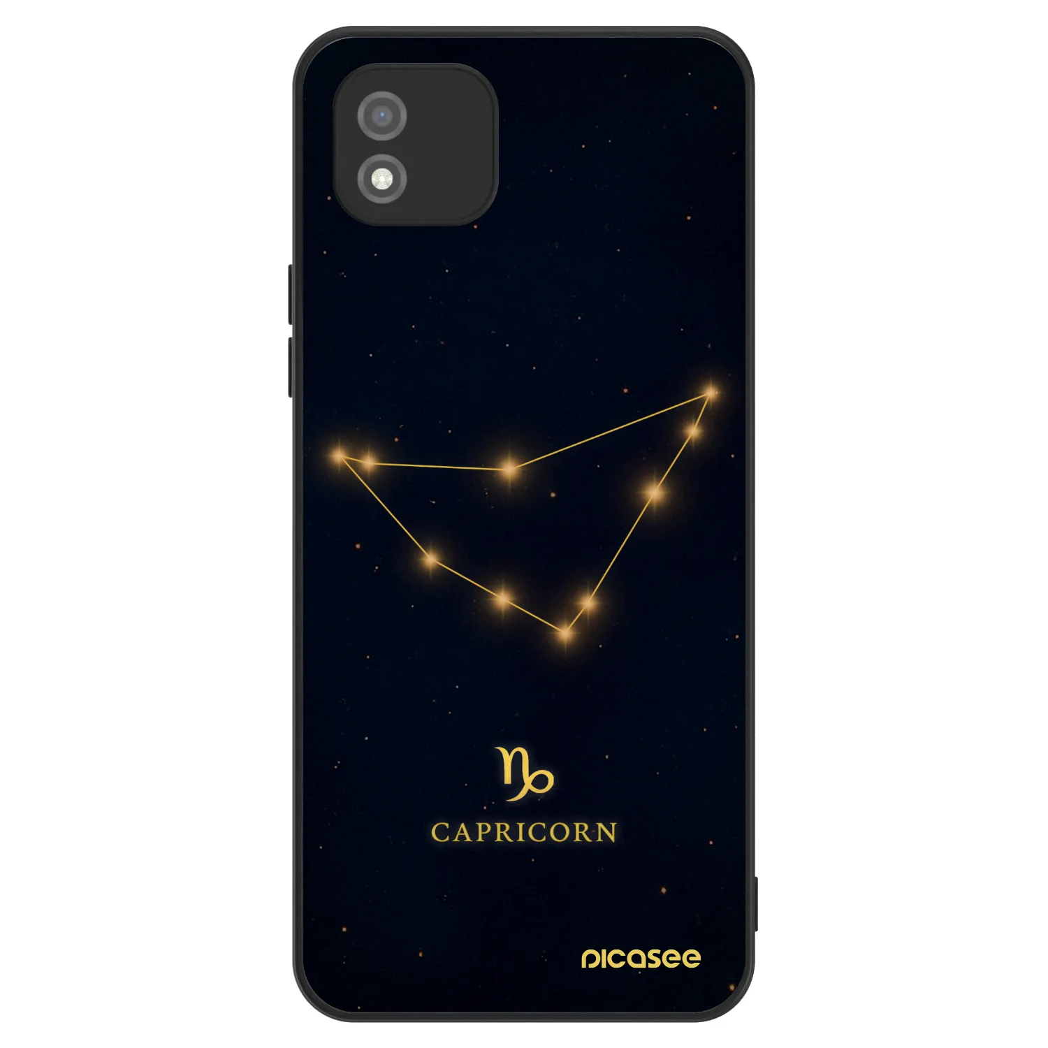 Picasee ULTIMATE CASE pentru Realme C11 (2021) - CAPRICORN