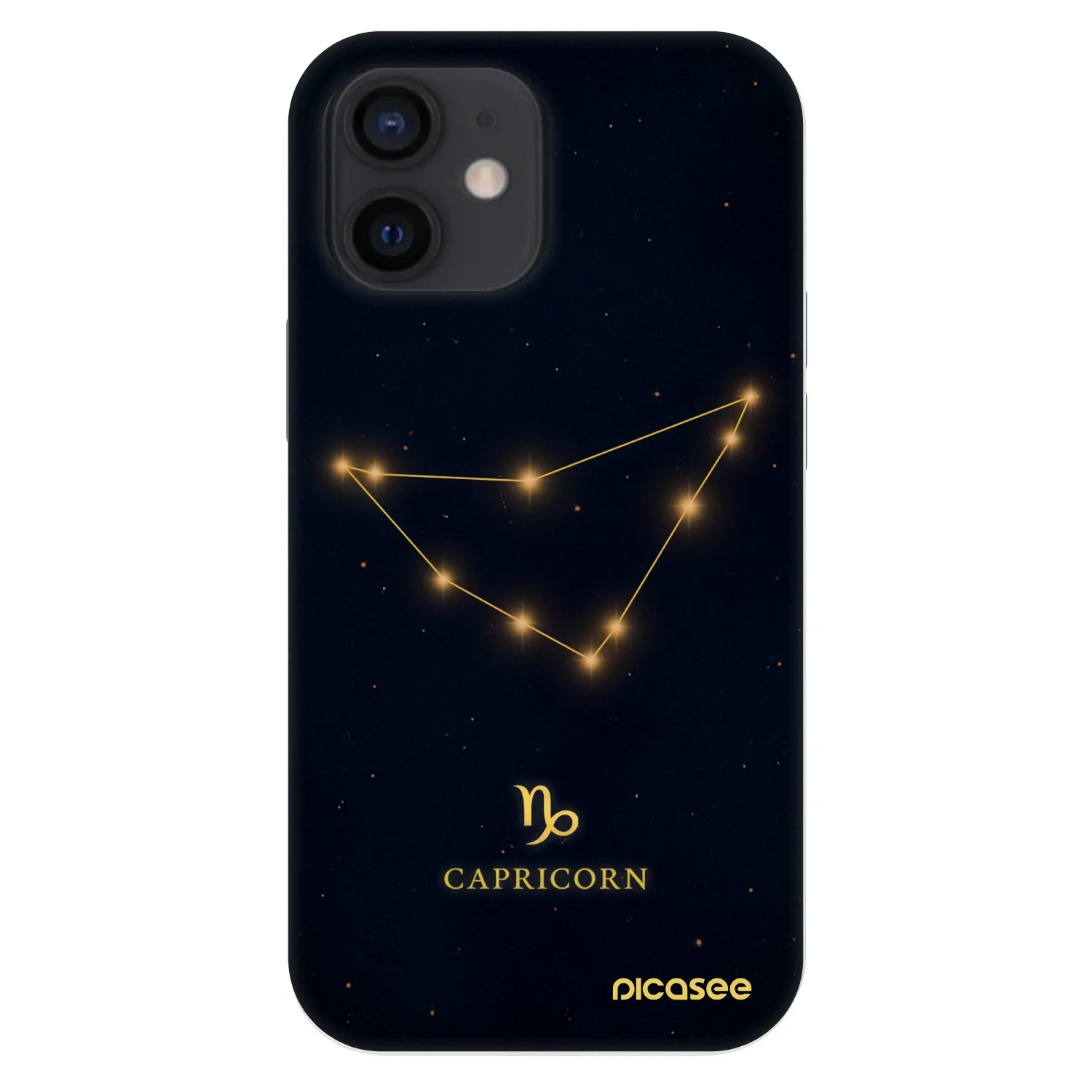 Picasee Fashion Case pentru Apple iPhone 12 mini - CAPRICORN