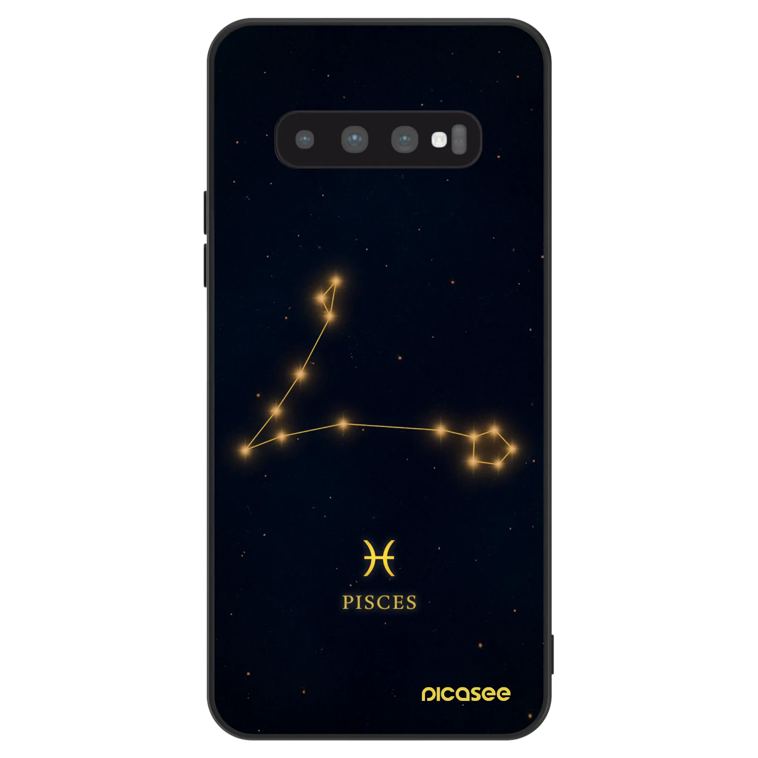 Picasee ULTIMATE CASE pentru Samsung Galaxy S10 Plus G975 - PISCES