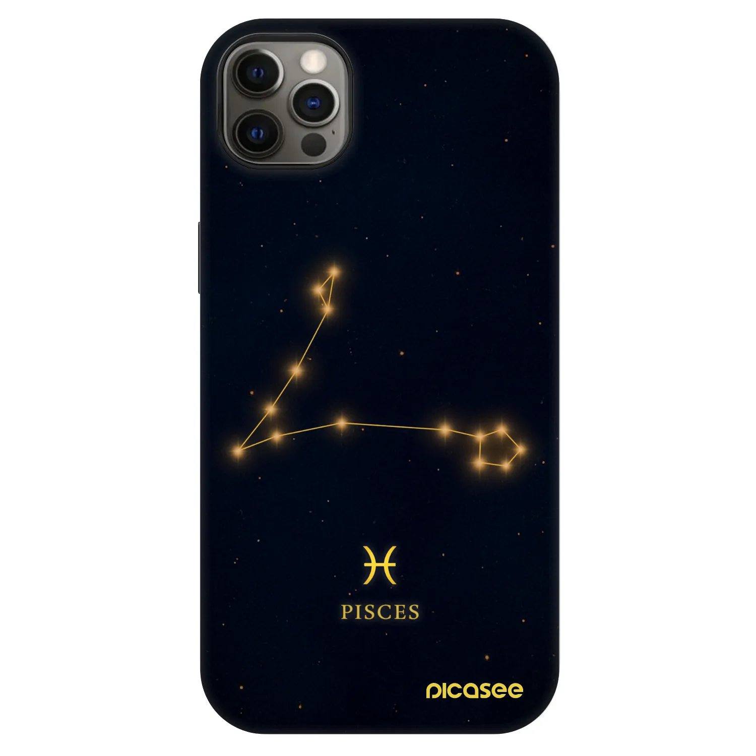 Picasee Fashion Case MagSafe pentru Apple iPhone 12 Pro Max - PISCES