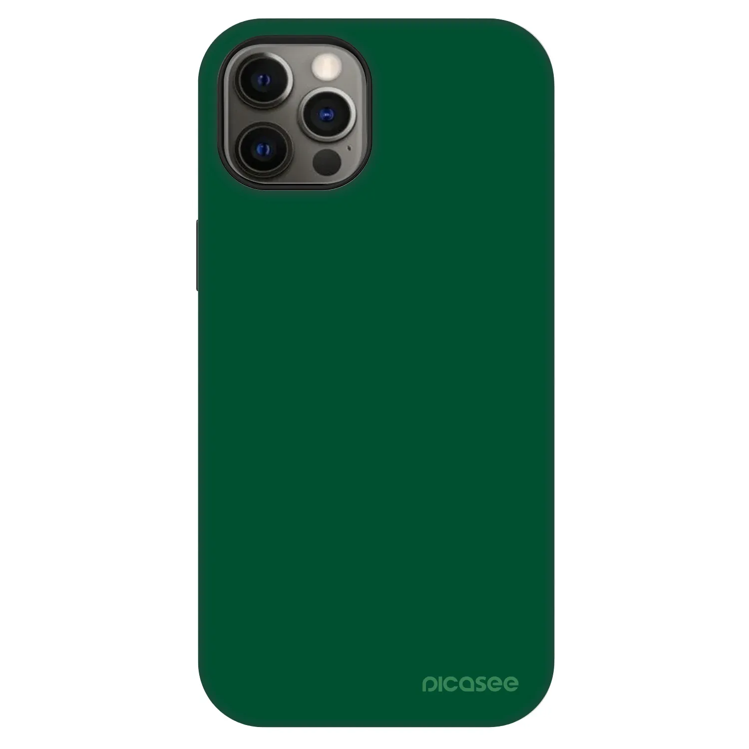 Picasee Fashion Case MagSafe pentru Apple iPhone 12 - Green Gleam