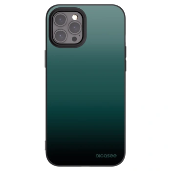 Picasee husă neagră din silicon pentru Apple iPhone 12 Pro Max - Verdant Fade