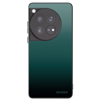 Picasee husă neagră din silicon pentru OnePlus 12 5G - Verdant Fade