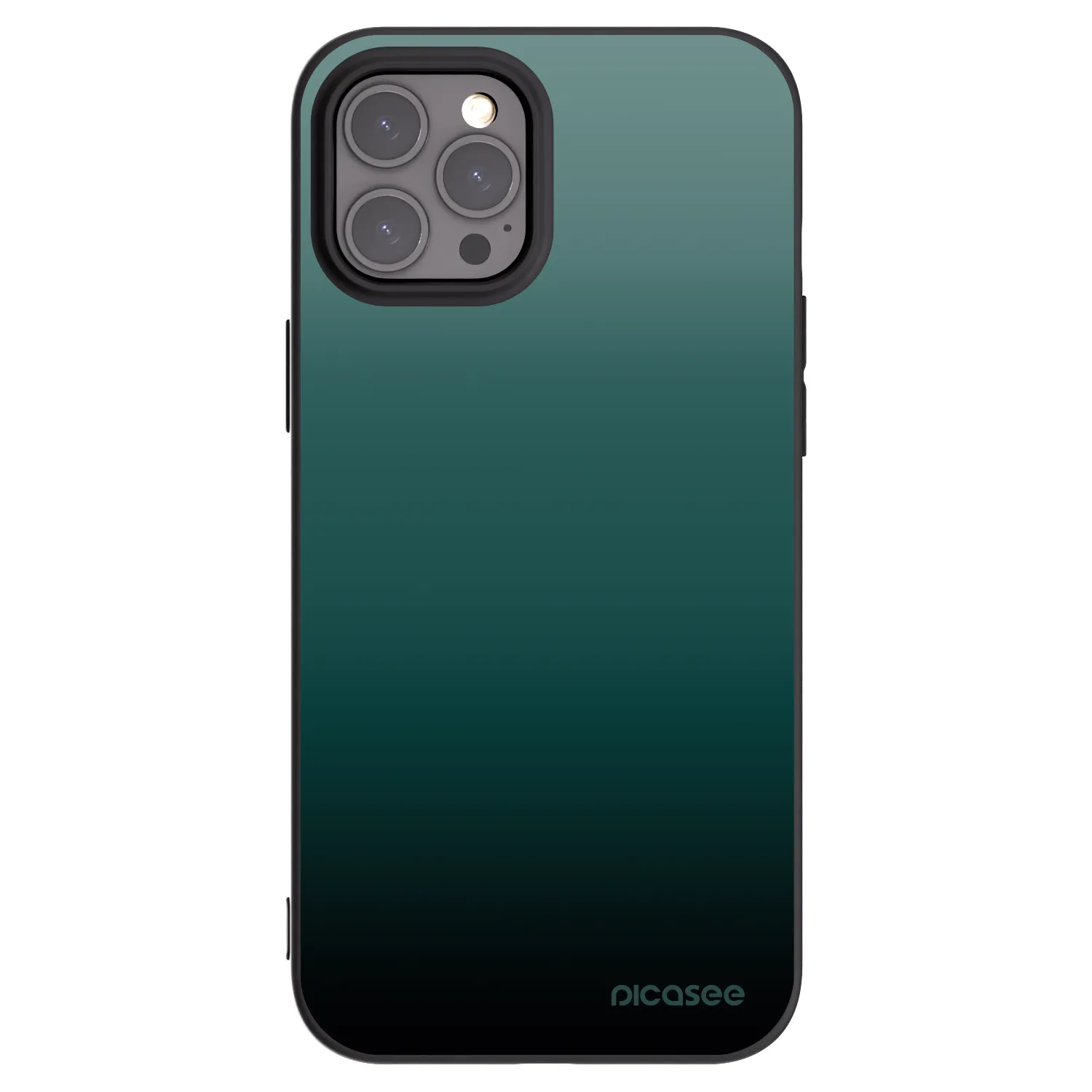 Picasee husă neagră din silicon pentru Apple iPhone 12 Pro Max - Verdant Fade