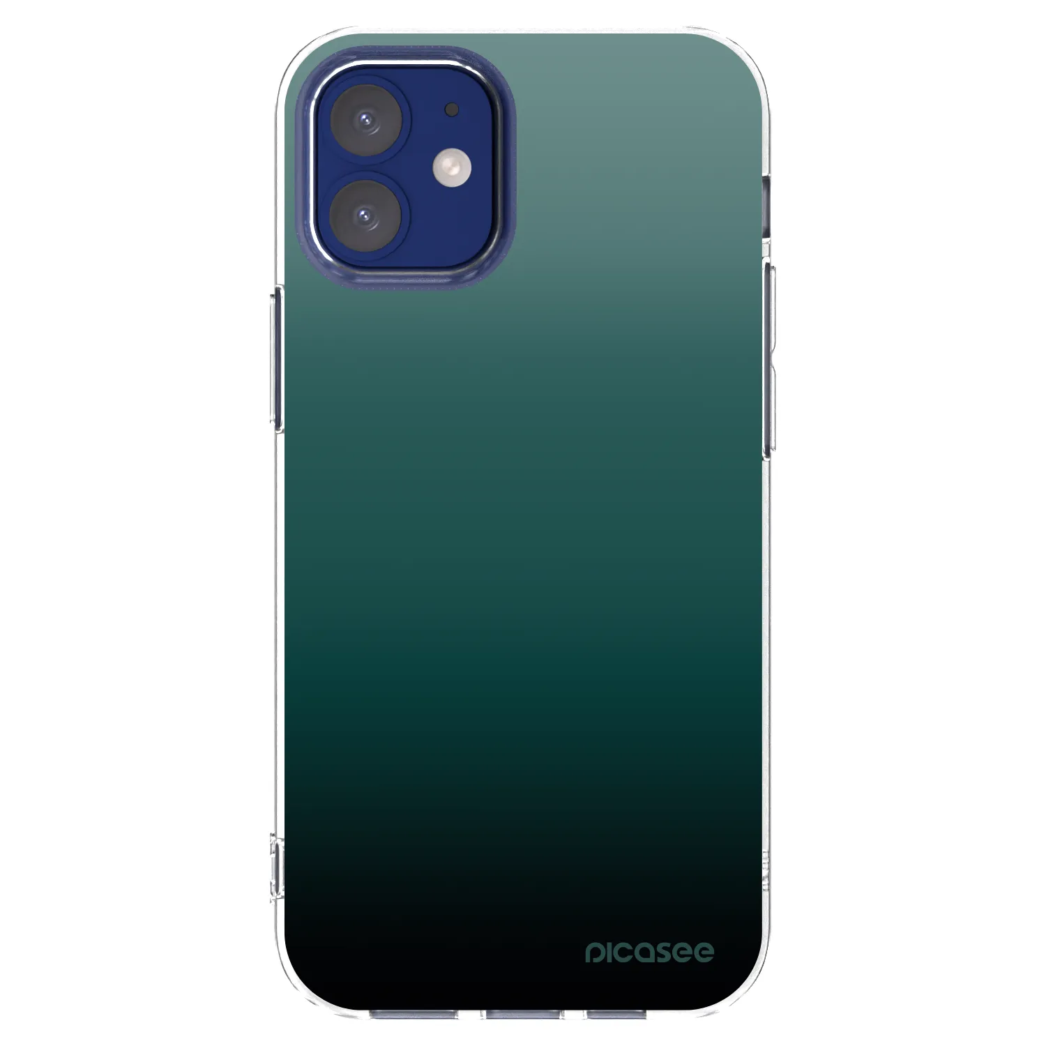 Picasee husă transparentă din silicon pentru Apple iPhone 12 mini - Verdant Fade
