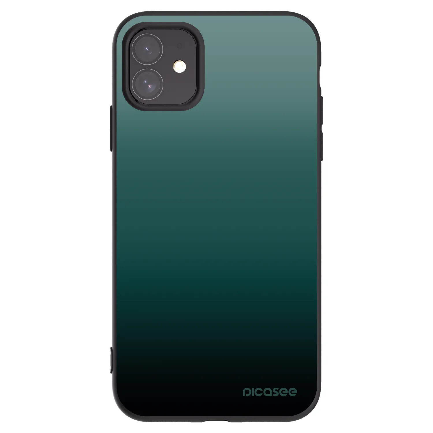Picasee husă neagră din silicon pentru Apple iPhone 11 - Verdant Fade