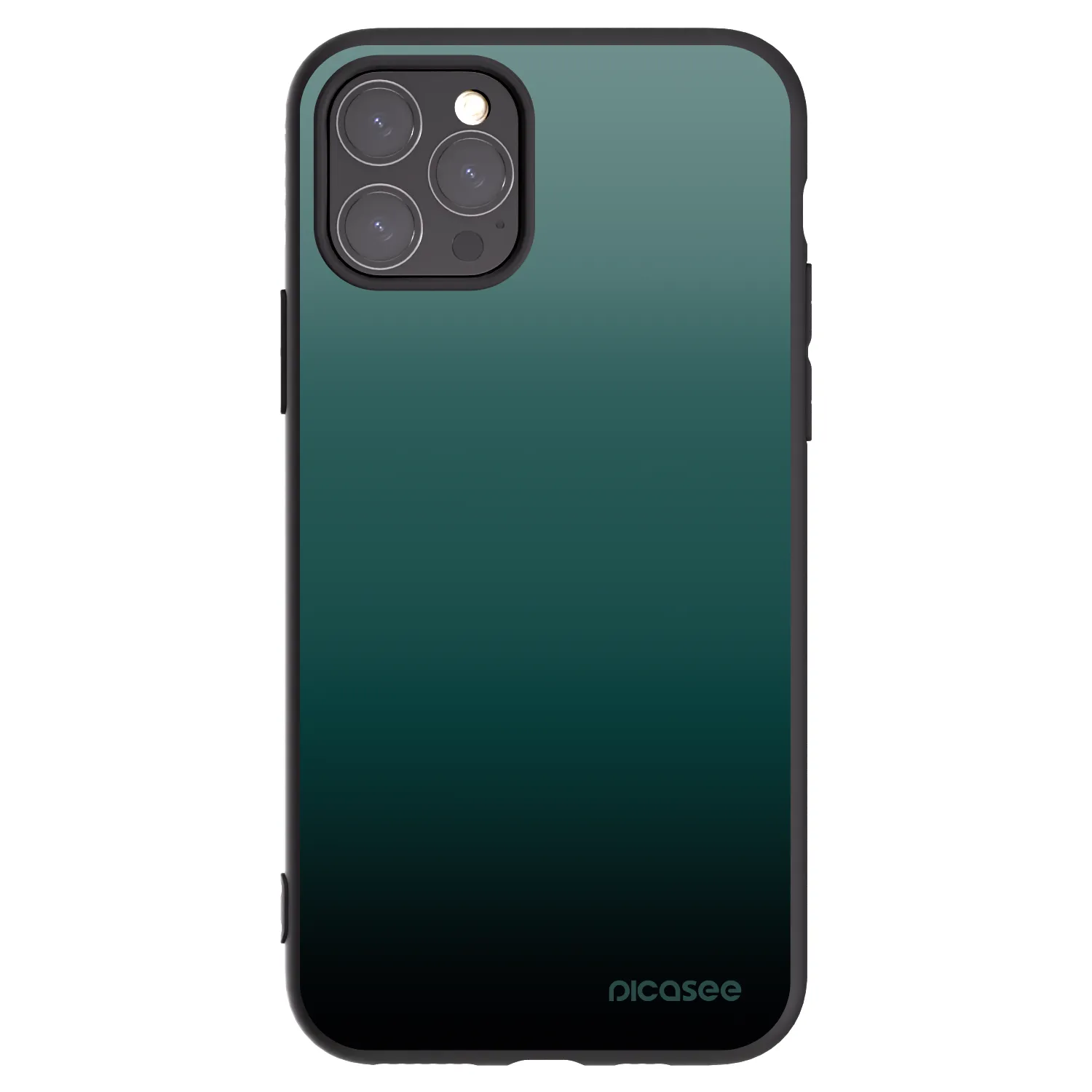 Picasee husă neagră din silicon pentru Apple iPhone 11 Pro - Verdant Fade