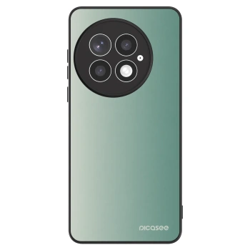Husă pentru OnePlus 13 5G - Misty Sage