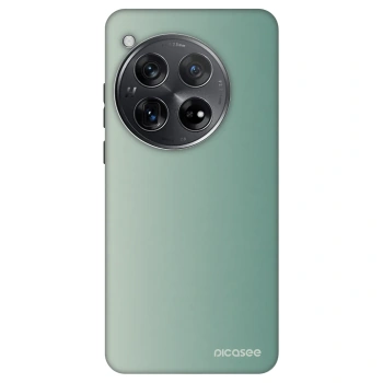 Husă pentru OnePlus 12 5G - Misty Sage