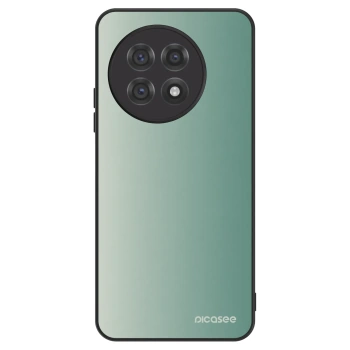 Husă pentru OnePlus 13R 5G - Misty Sage