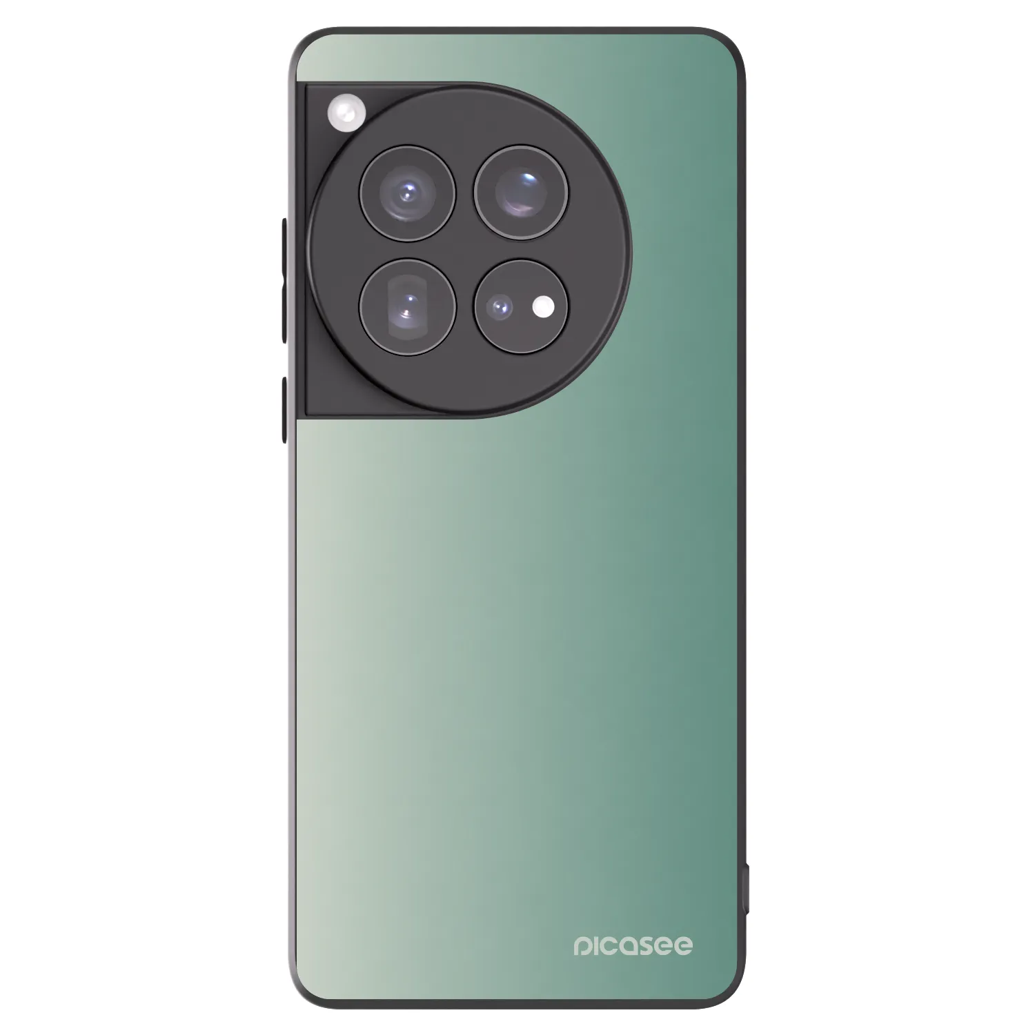 Picasee husă neagră din silicon pentru OnePlus 12 5G - Misty Sage